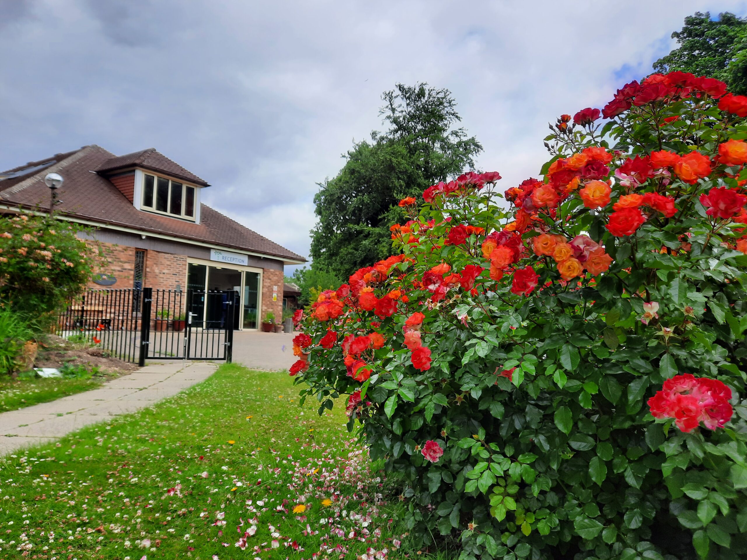 wakefield hospice wakefield hospice